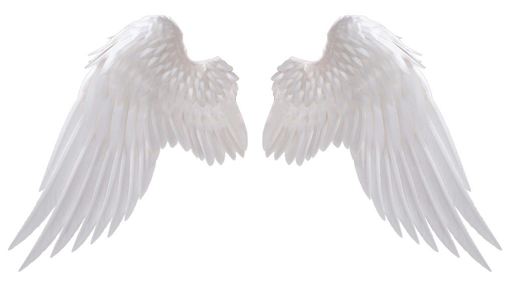 angelwings2
