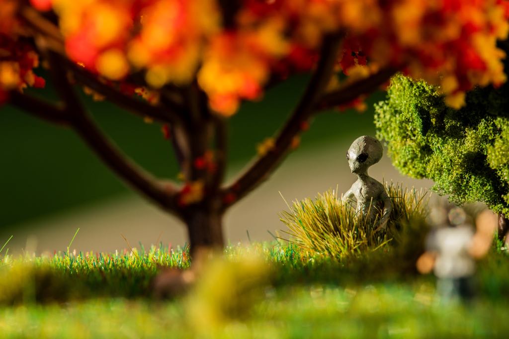 72340967_553678765437412_4593476954820182016_n