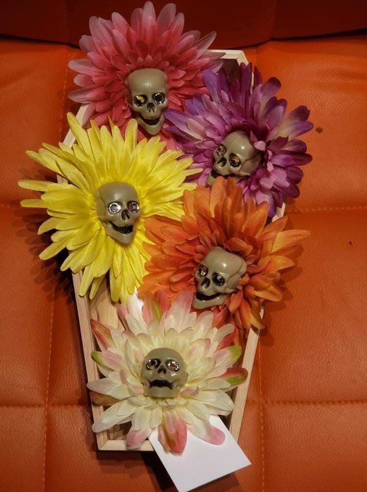 73243270_1713113565488755_7924076071115292672_n