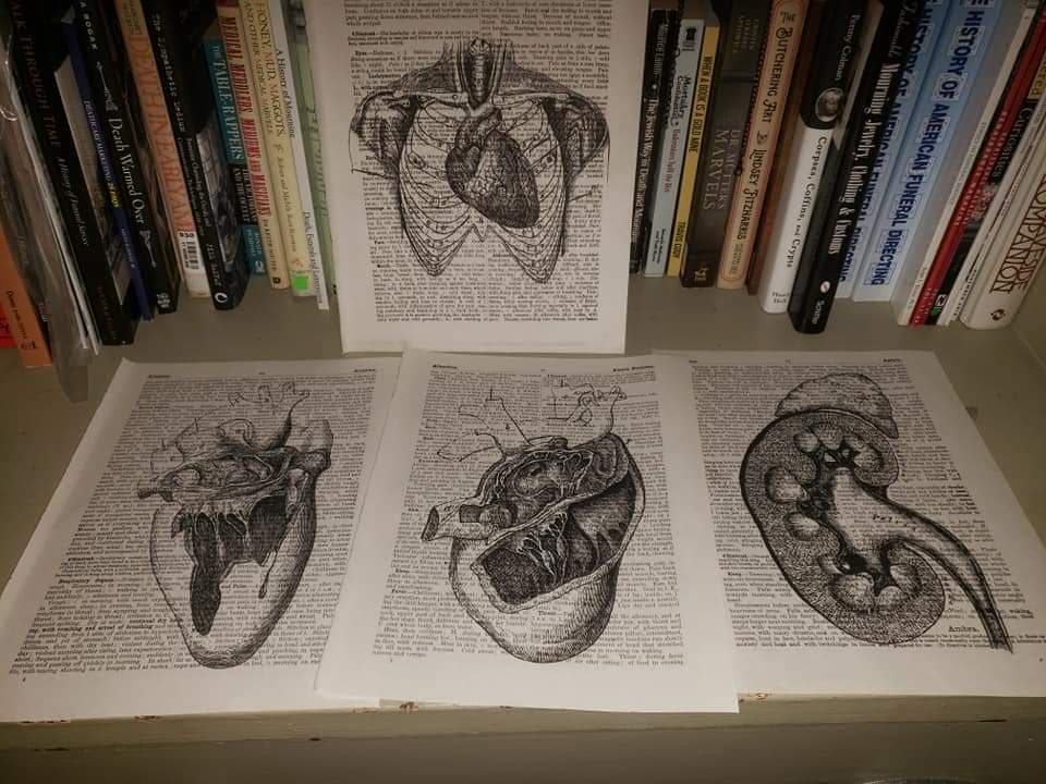 74634438_2521302708144410_1617704212337000448_n