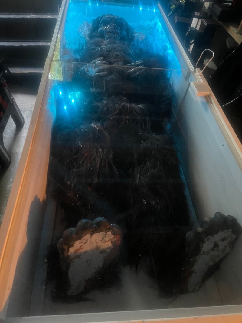 The Midwest Snow-Beast display case, full length